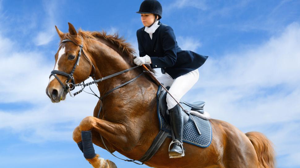 Horse Racing HD wallpaper | sports | Wallpaper Better