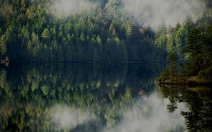 Trees Lake Reflection Forest HD wallpaper thumb