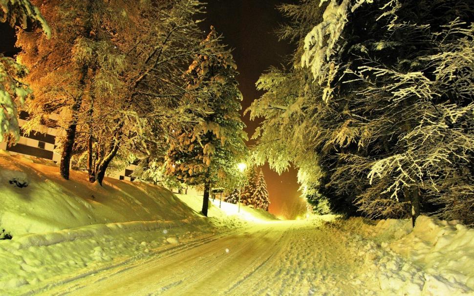 A Cold Winter Night wallpaper,forest HD wallpaper,park HD wallpaper,nature HD wallpaper,light HD wallpaper,winter HD wallpaper,3d & abstract HD wallpaper,2560x1600 wallpaper