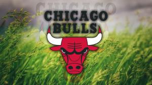 Chicago Bulls, logo, grass, nba, basketball wallpaper thumb