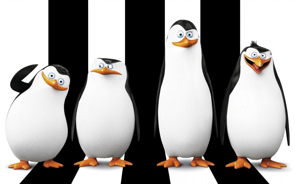Penguins of Madagascar wallpaper,penguins HD wallpaper,madagascar HD wallpaper,2560x1600 wallpaper