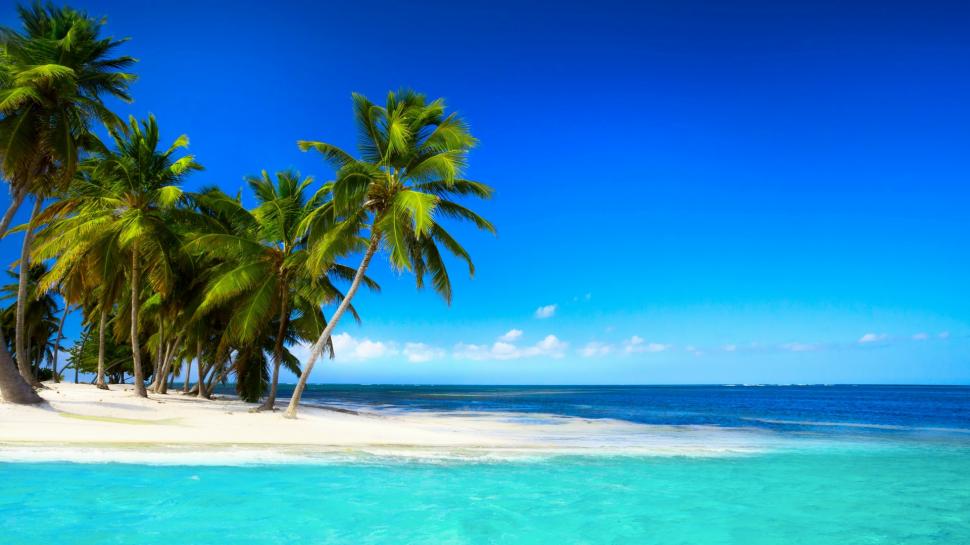Tropical beach with palm trees beautiful sky blue sea wallpaper,tropical HD wallpaper,beach HD wallpaper,palm trees HD wallpaper,1920x1080 wallpaper