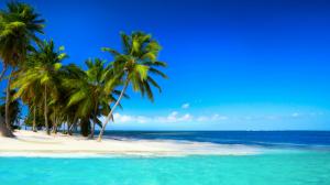 Tropical beach with palm trees beautiful sky blue sea wallpaper thumb