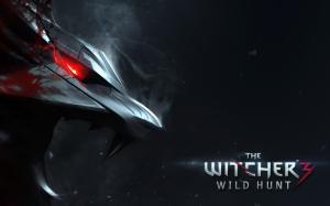 The Witcher 3 Wild Hunt 1 wallpaper thumb