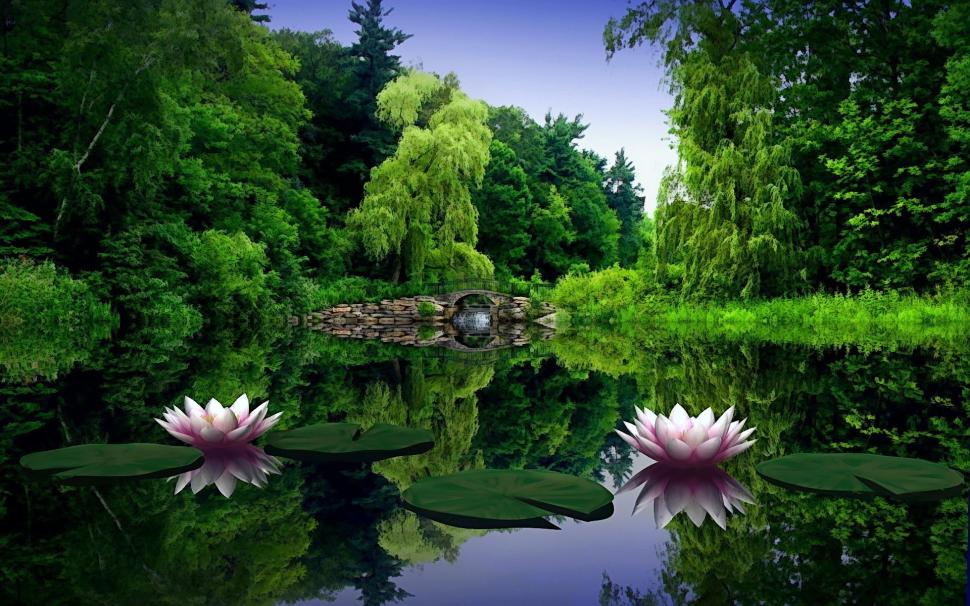 Water lilies flowers in the lake wallpaper,Water HD wallpaper,Lilies HD wallpaper,Flowers HD wallpaper,Lake HD wallpaper,1920x1200 wallpaper
