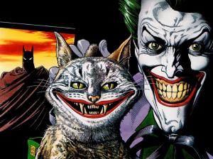 Joker Cat Batman HD wallpaper thumb