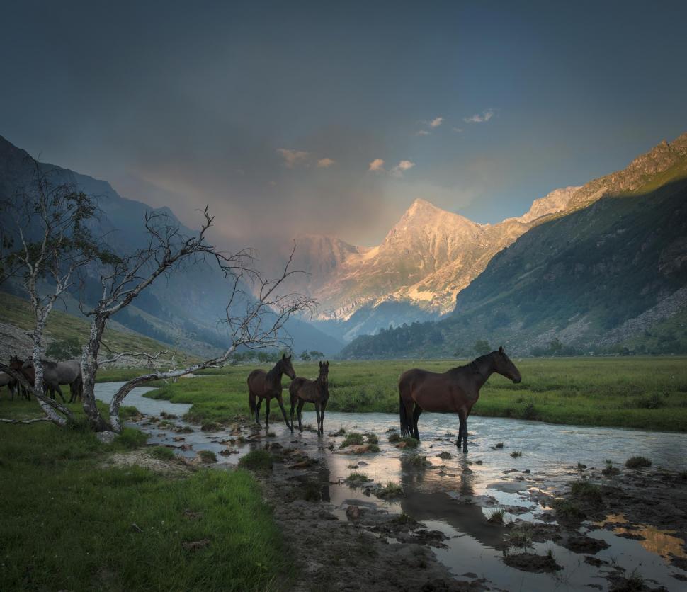 Valley, horses and watering wallpaper,trees HD wallpaper,mountains HD wallpaper,valley HD wallpaper,grass HD wallpaper,stream HD wallpaper,smoke HD wallpaper,horses and watering HD wallpaper,2000x1725 wallpaper