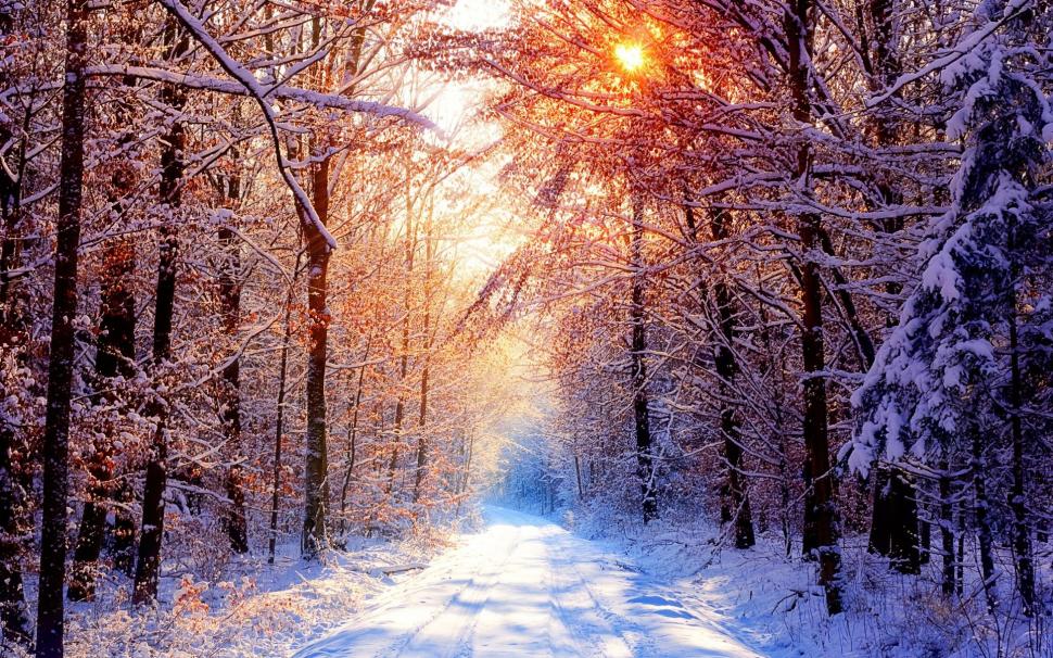 Winter Sunshine wallpaper,winter HD wallpaper,sunshine HD wallpaper,nature & landscape HD wallpaper,2880x1800 wallpaper