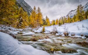 Val Bever, Engadin, Schweiz, winter, snow, trees, river, white wallpaper thumb