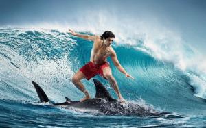 Surfing wallpaper thumb