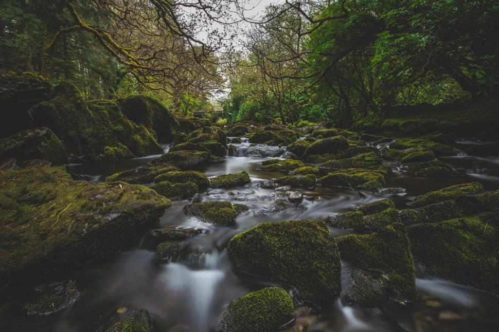 Nature, river, moss, forest, landscape, water, photography wallpaper,nature HD wallpaper,river HD wallpaper,moss HD wallpaper,forest HD wallpaper,landscape HD wallpaper,water HD wallpaper,photography HD wallpaper,2048x1365 wallpaper