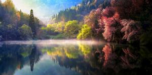 Nature, Spring, Sunrise, Mist, Lake, Reflection, Forest, Landscape, Water, South Korea wallpaper thumb