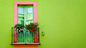 Green Wall Window wallpaper thumb