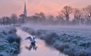 UK, England, Cathedral, winter, frost, river, trees, swan, dusk wallpaper thumb