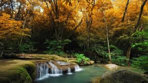 Cascading Falls In A Corner Of A Forest wallpaper thumb