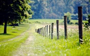 Nature, fence, meadow, grass, trees wallpaper thumb
