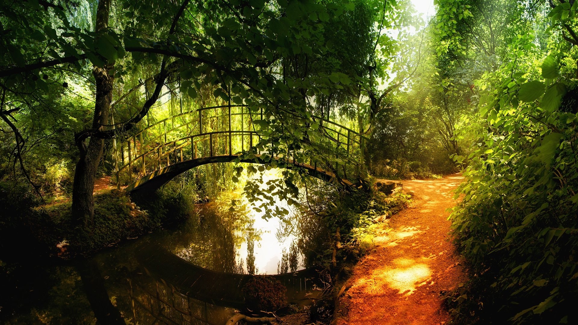 Forest Path Trail Stream Bridge Reflection Trees Hd Wallpaper Nature