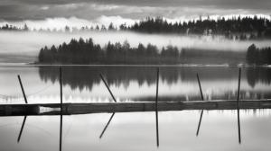 BW Trees Lake Posts Reflection HD wallpaper thumb