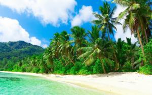 nature landscape beach sea sand palm trees clouds hill tropical holiday summer wallpaper thumb