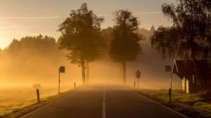 Dawn, morning, town, road, fog wallpaper thumb