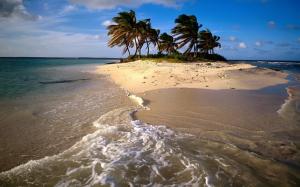 Island Tropical Beach Ocean Palm Trees HD wallpaper thumb