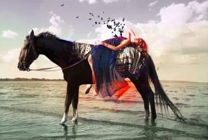 Digital Art, Horse, Model, Women, Birds, Beach, Sea wallpaper thumb