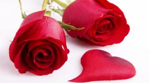 Red Rose And Heart Valentine  Free Background Desktop Images wallpaper thumb