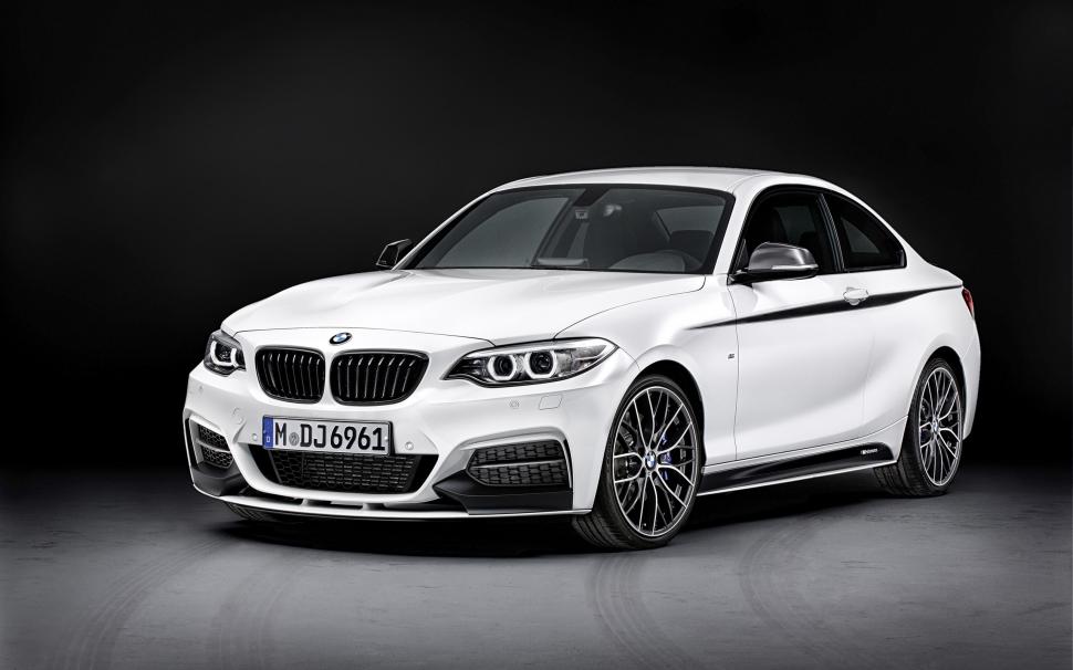 2014 BMW 2 Series Coupe M PerformanceRelated Car Wallpapers wallpaper,coupe HD wallpaper,series HD wallpaper,performance HD wallpaper,2014 HD wallpaper,2560x1600 wallpaper