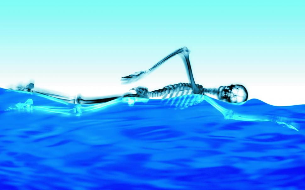 Swimming Skeleton wallpaper,2560x1600 wallpaper