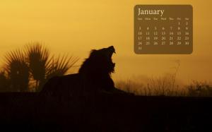 Lion Sunrise January 2010 Calender wallpaper thumb