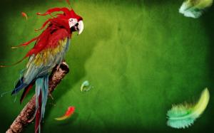 Splash of Parrot wallpaper thumb