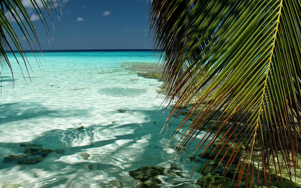 Maldives Indian Ocean wallpaper,beach HD wallpaper,nature HD wallpaper,maldives HD wallpaper,indian HD wallpaper,ocean HD wallpaper,2560x1600 wallpaper