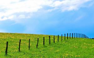 Fence on the green field wallpaper thumb