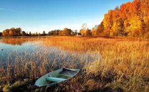 Autumn scenery, lake, water grass, boat, trees, house wallpaper thumb