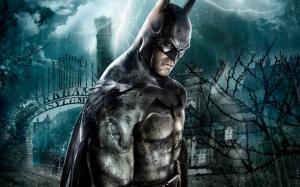 Batman Arkham Asylum Game wallpaper thumb