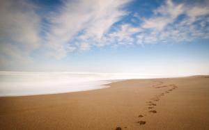 Beach Ocean Footprints HD wallpaper thumb