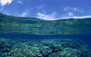 Underwater Ocean HD wallpaper thumb