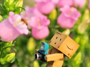 Danbo Taking Pictures wallpaper thumb