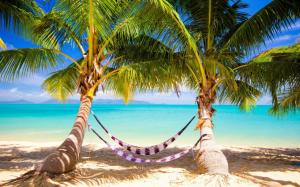 tropics, sand, beach, ocean, palm trees, hammocks wallpaper thumb