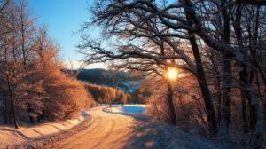 Nature winter, snow, trees, forest, sunset rays wallpaper thumb
