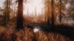Wonderful Pond In A Bare Forest wallpaper thumb