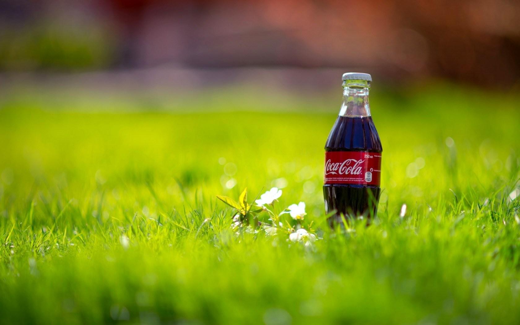 Drejning krise Blaze Coca-Cola Bottle Drink Grass Nature wallpaper | nature and landscape |  Wallpaper Better