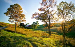 Autumn, house, grass, trees, sunlight wallpaper thumb