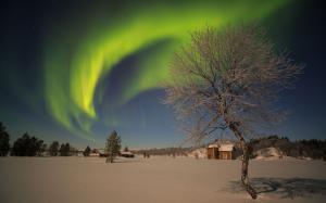 Aurora Borealis Northern Lights Night Green Stars Snow Winter Tree HD wallpaper thumb