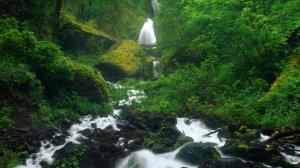 Forest Waterfall Stream Rocks Stones Timelapse HD wallpaper thumb