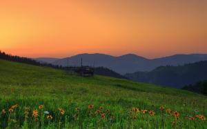 Romania Hills Sunset Field Flowers Landscape Photos wallpaper thumb