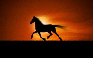 Running horse HD wallpaper thumb