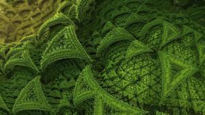 Green fractal shapes wallpaper thumb