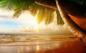 Summer tropical scenery, sunset, sea, ocean, palm trees, sunset wallpaper thumb