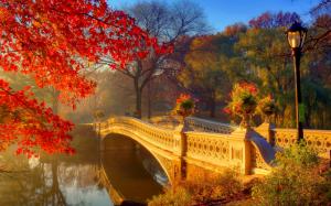 Autumn park at morning, river, bridge, trees, flowers wallpaper thumb